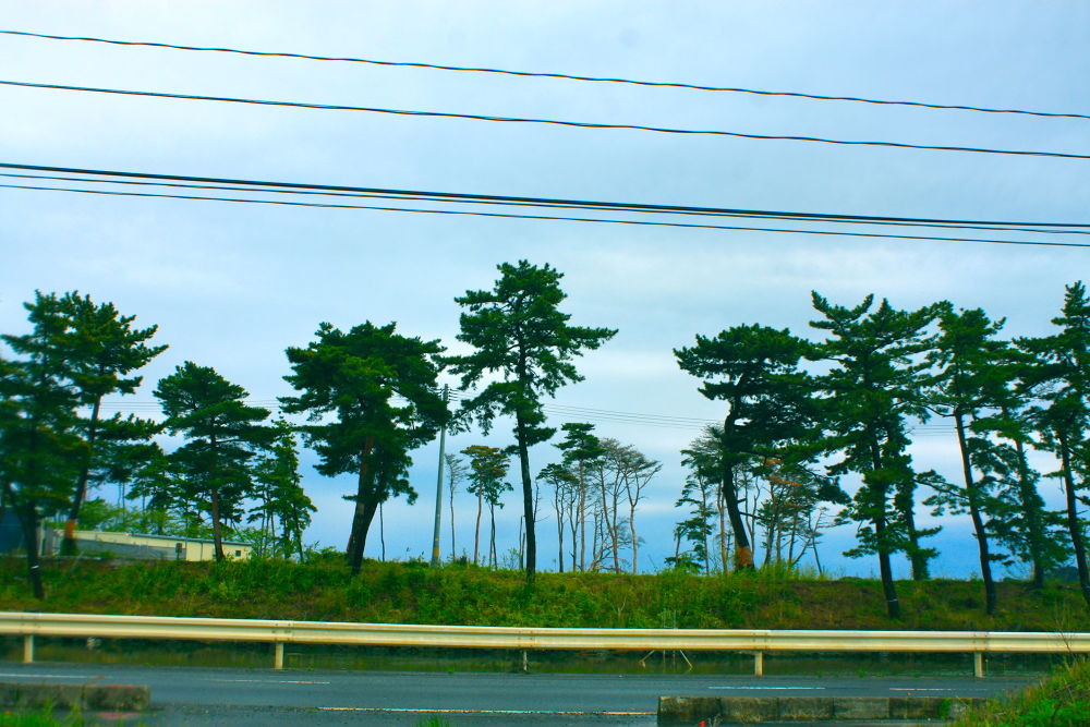 奥松島・大高森から見る壮観と野蒜のすがたの写真4