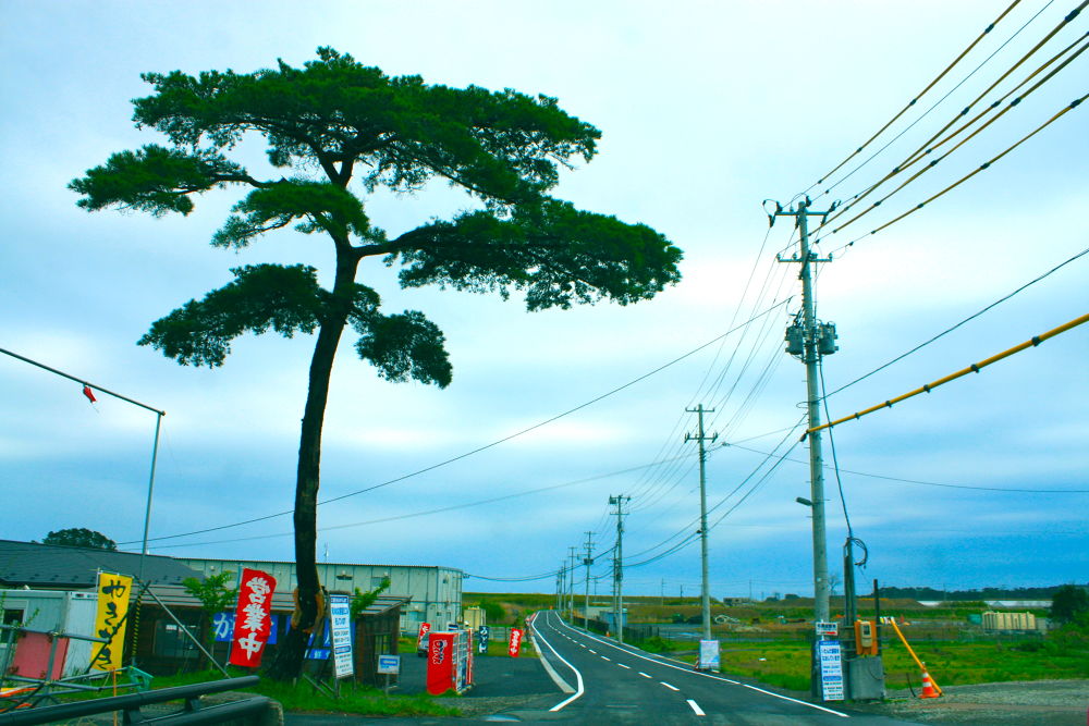 奥松島・大高森から見る壮観と野蒜のすがたの写真5