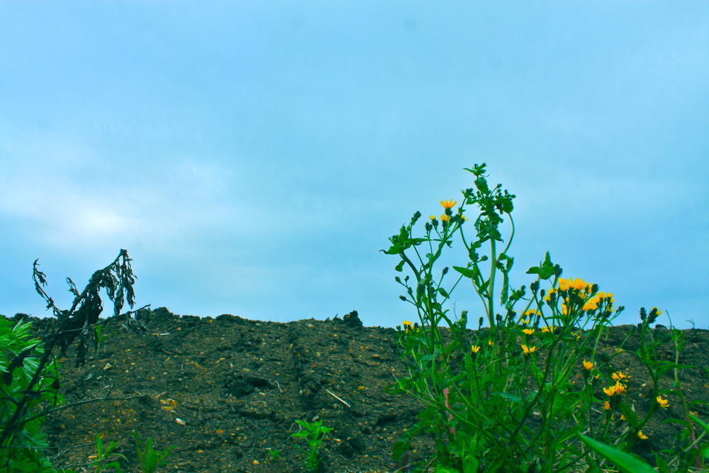 奥松島・大高森から見る壮観と野蒜のすがたの写真6