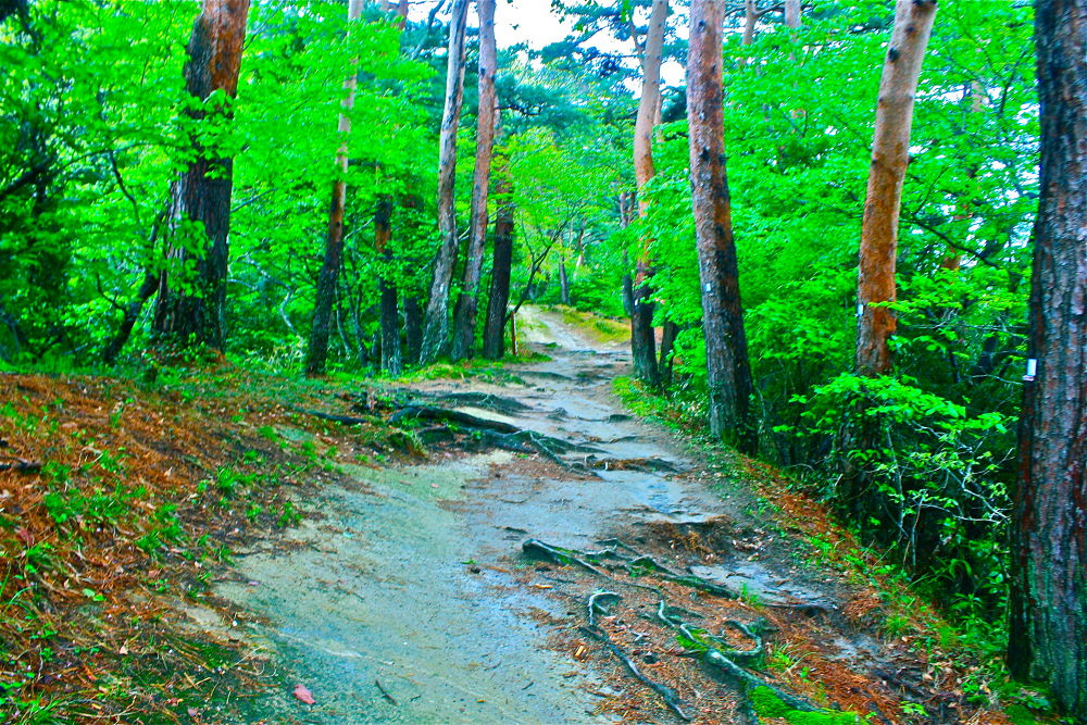 奥松島・大高森から見る壮観と野蒜のすがたの写真11