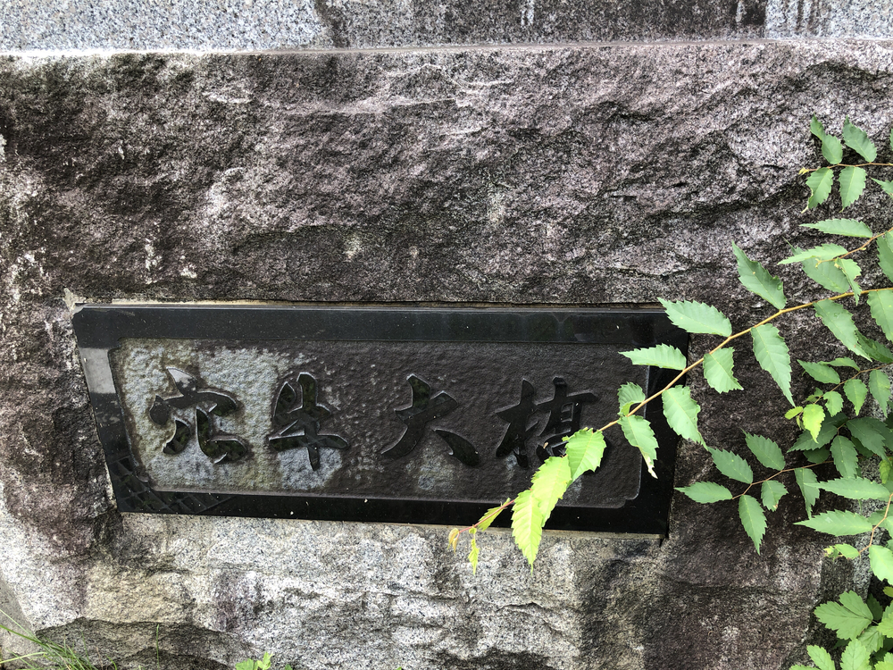 二戸市 穴牛方面行きの写真11