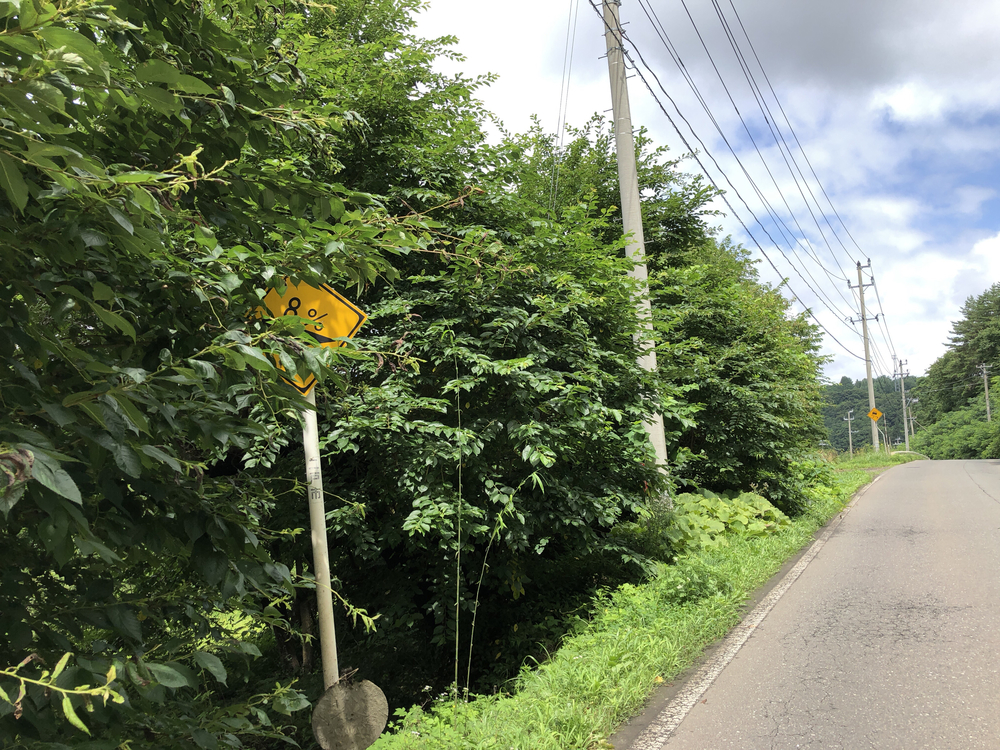 二戸市 穴牛方面行きの写真12