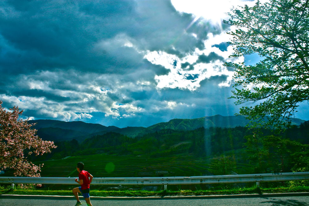 日本の風景・椹平の棚田の写真5