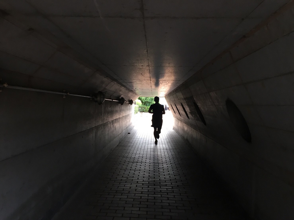 天王洲 6.5kmランの写真3