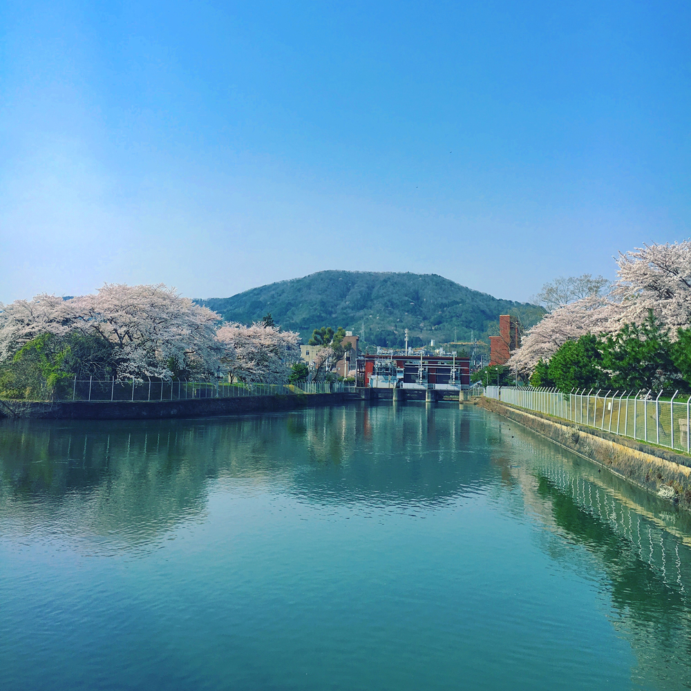 近江大橋 to 南郷洗堰 周回の写真3