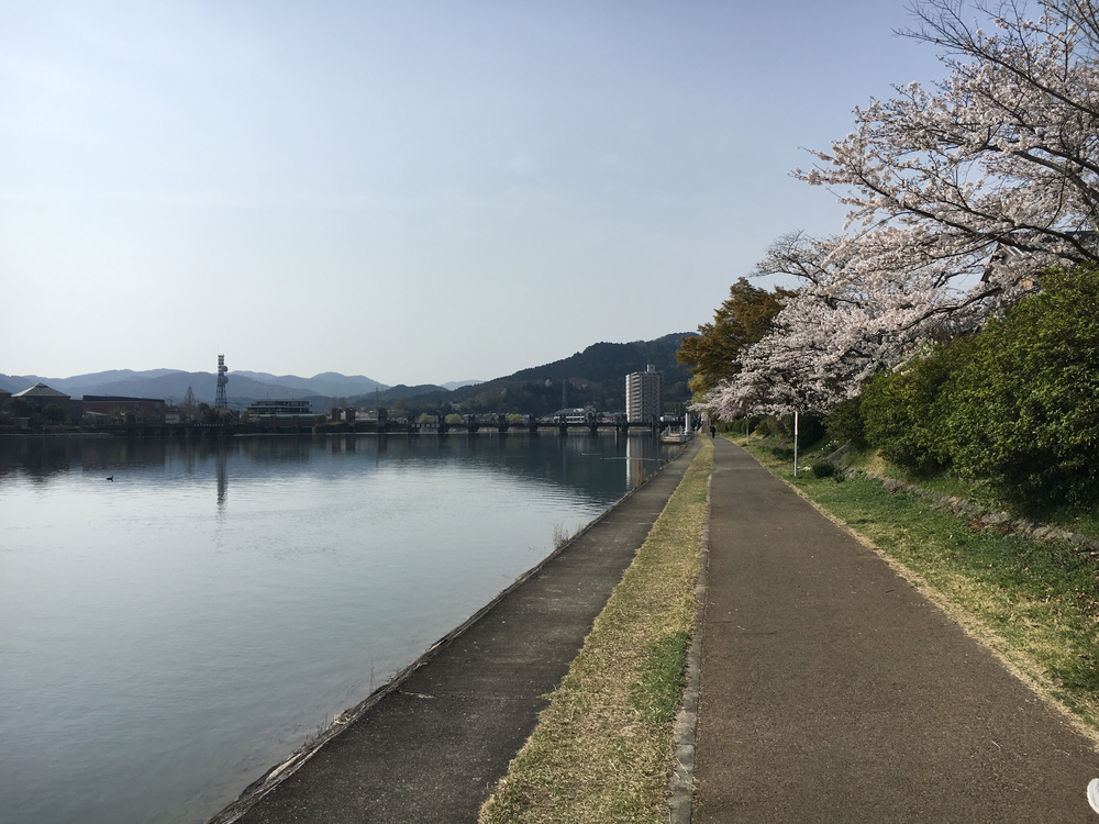 近江大橋 to 南郷洗堰 周回の写真5