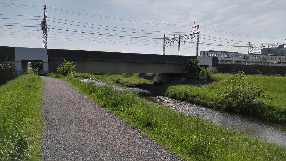 黒目川下流（朝霞市）で川遊び＆ランの写真4
