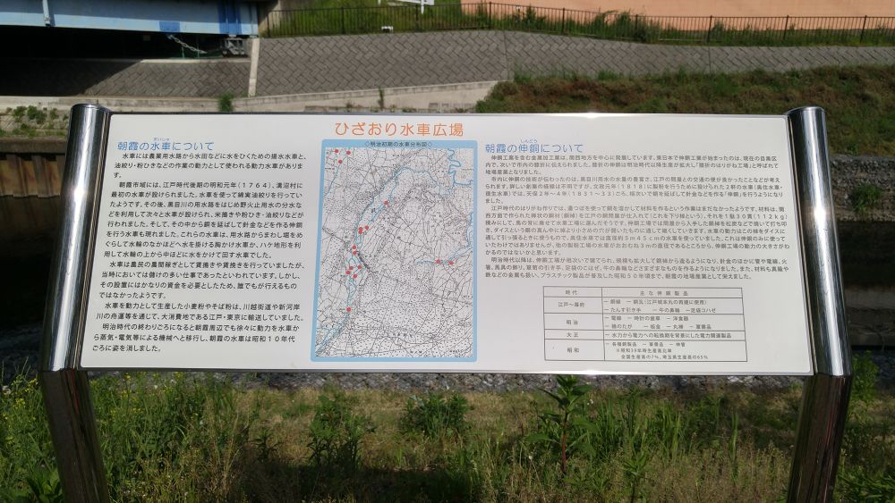 黒目川下流（朝霞市）で川遊び＆ランの写真6