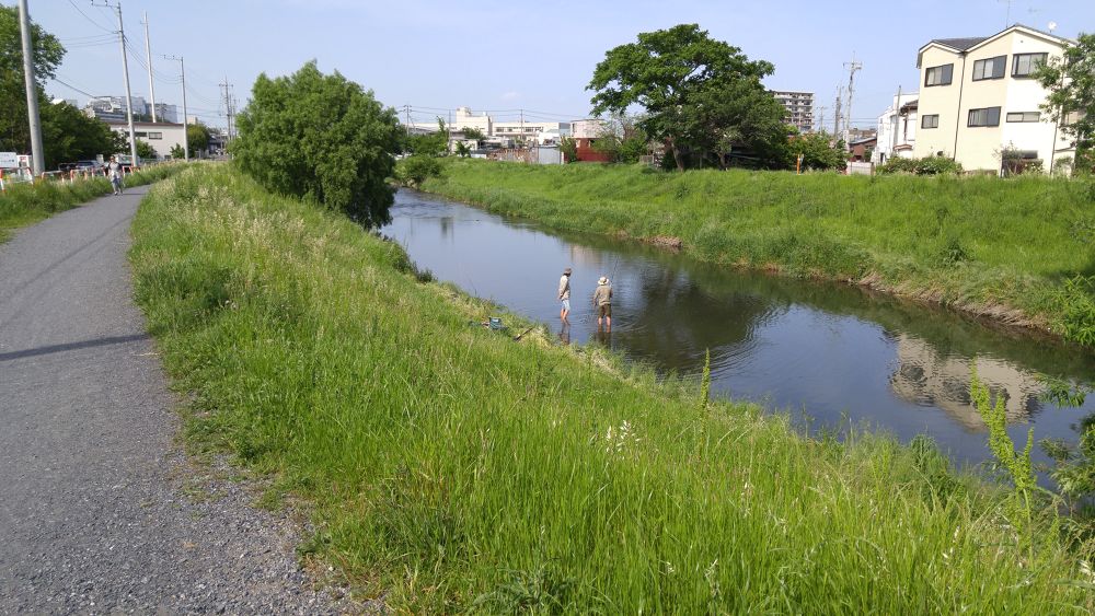 黒目川下流（朝霞市）で川遊び＆ランの写真8