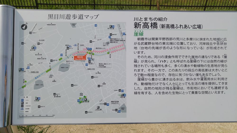 黒目川下流（朝霞市）で川遊び＆ランの写真9