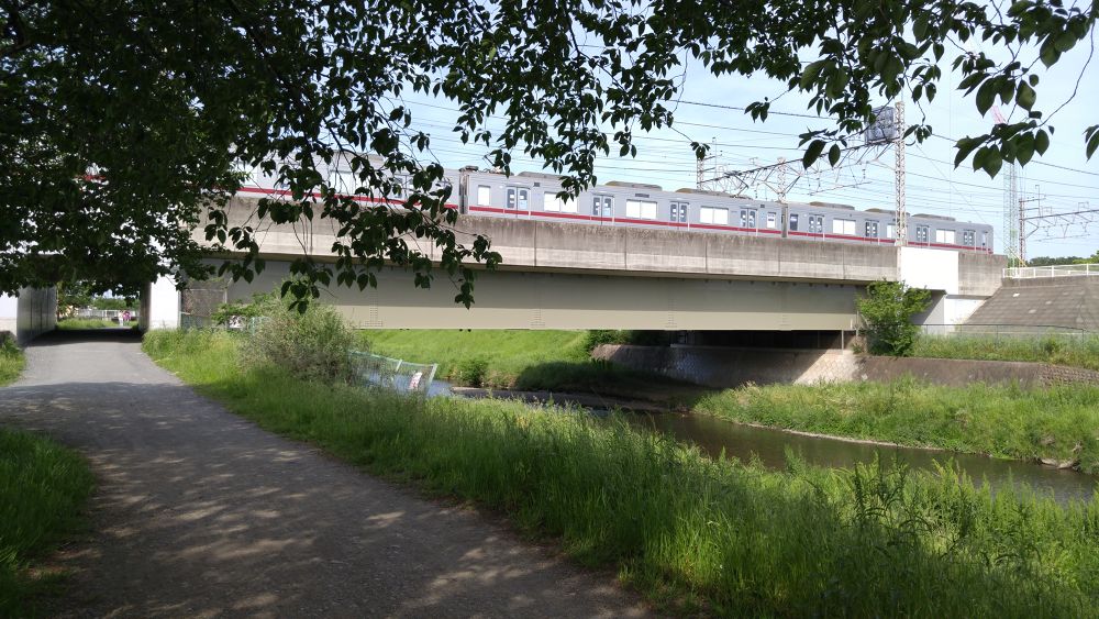 黒目川下流（朝霞市）で川遊び＆ランの写真10