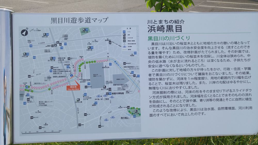 黒目川下流（朝霞市）で川遊び＆ランの写真11