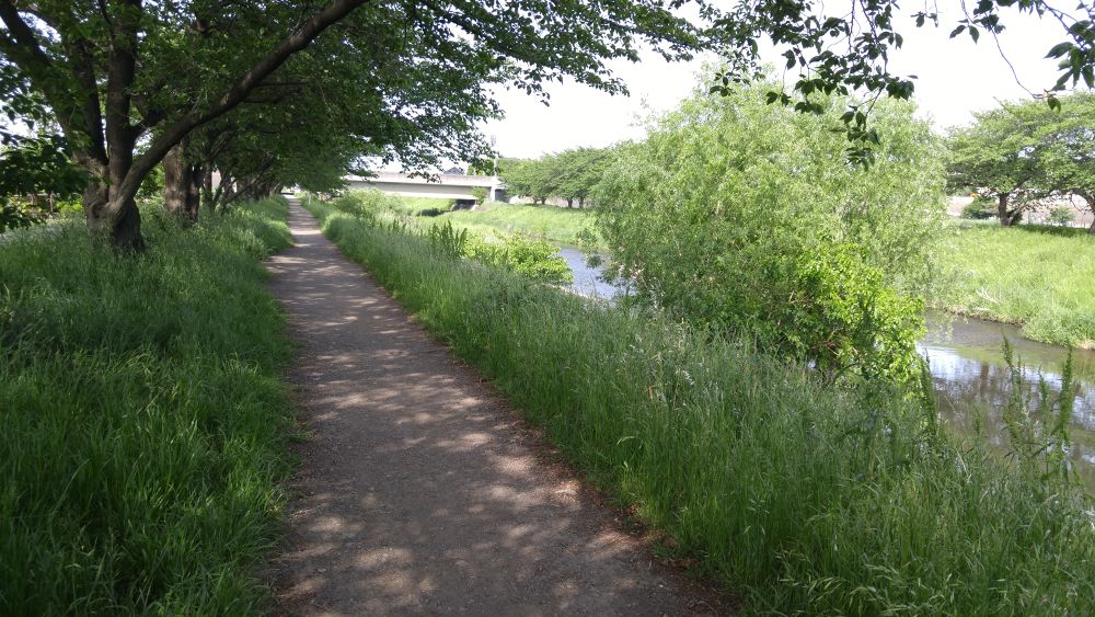 黒目川下流（朝霞市）で川遊び＆ランの写真12