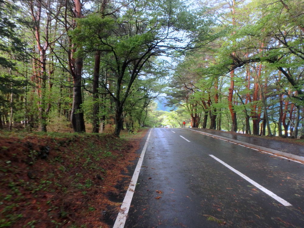 自然あふれる本栖湖周回12kmコースの写真3