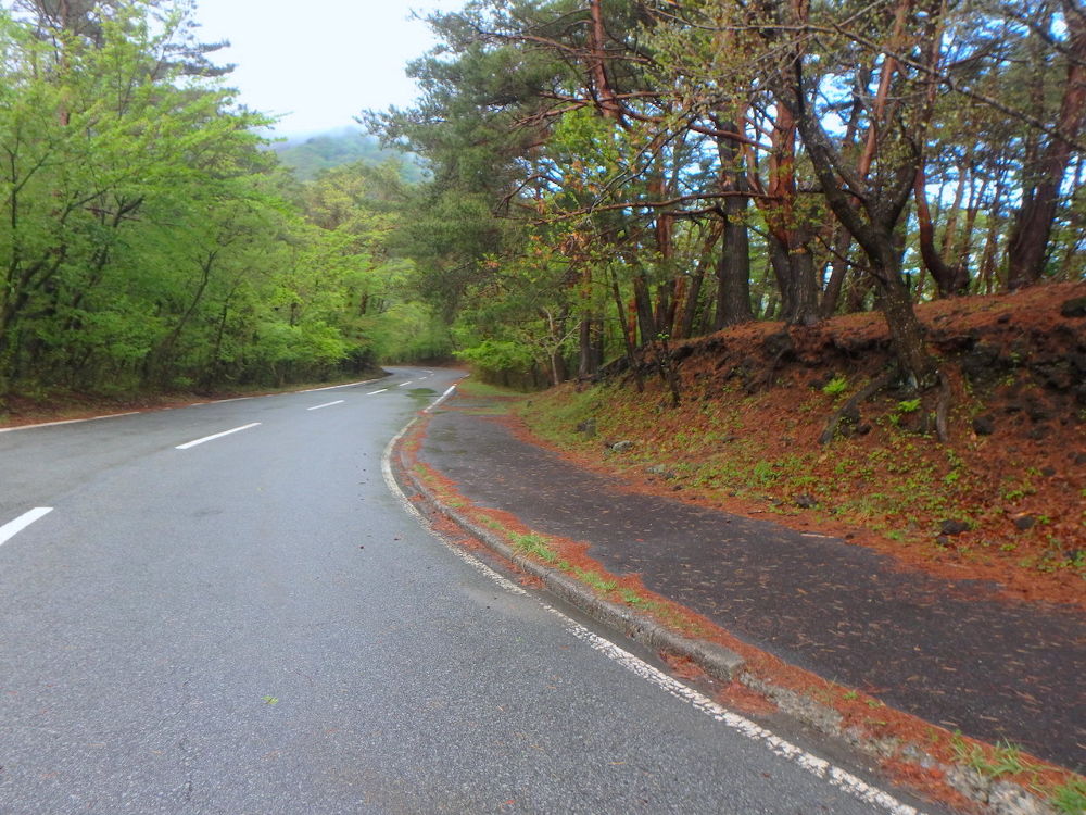 自然あふれる本栖湖周回12kmコースの写真4