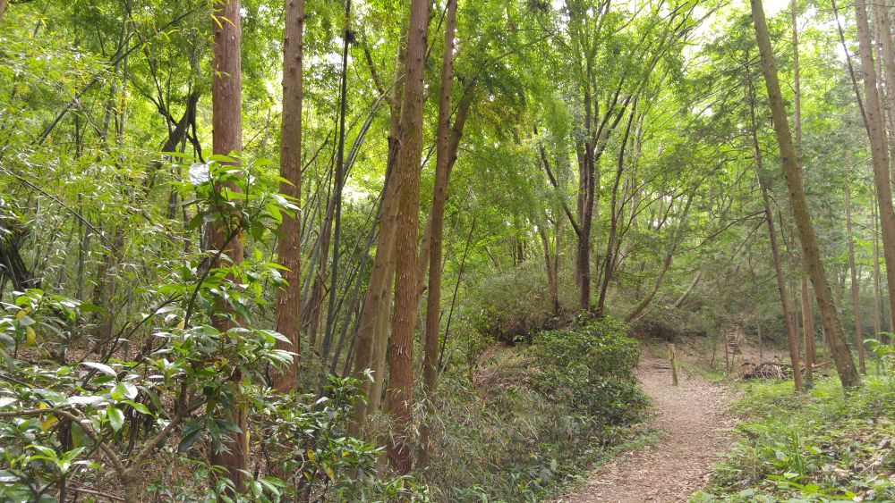 千と千尋ゆかりの由緒あるトレイルの写真3