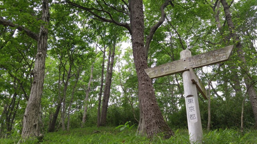 千と千尋ゆかりの由緒あるトレイルの写真5