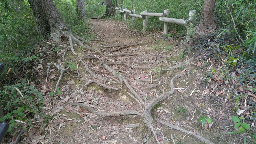 千と千尋ゆかりの由緒あるトレイルの写真8