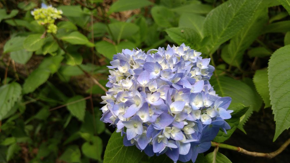 千と千尋ゆかりの由緒あるトレイルの写真10