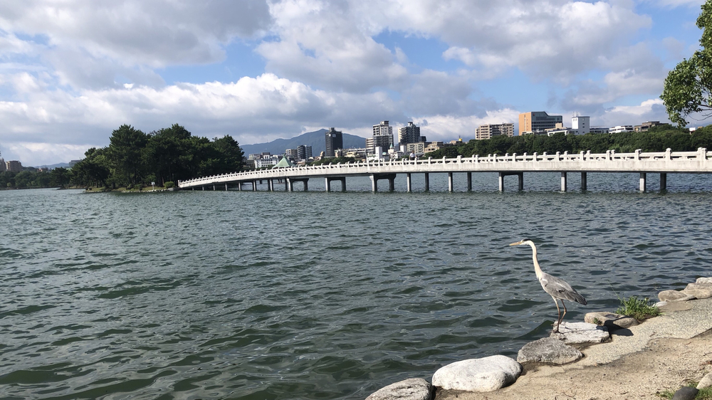 博多至大濠公園の写真3