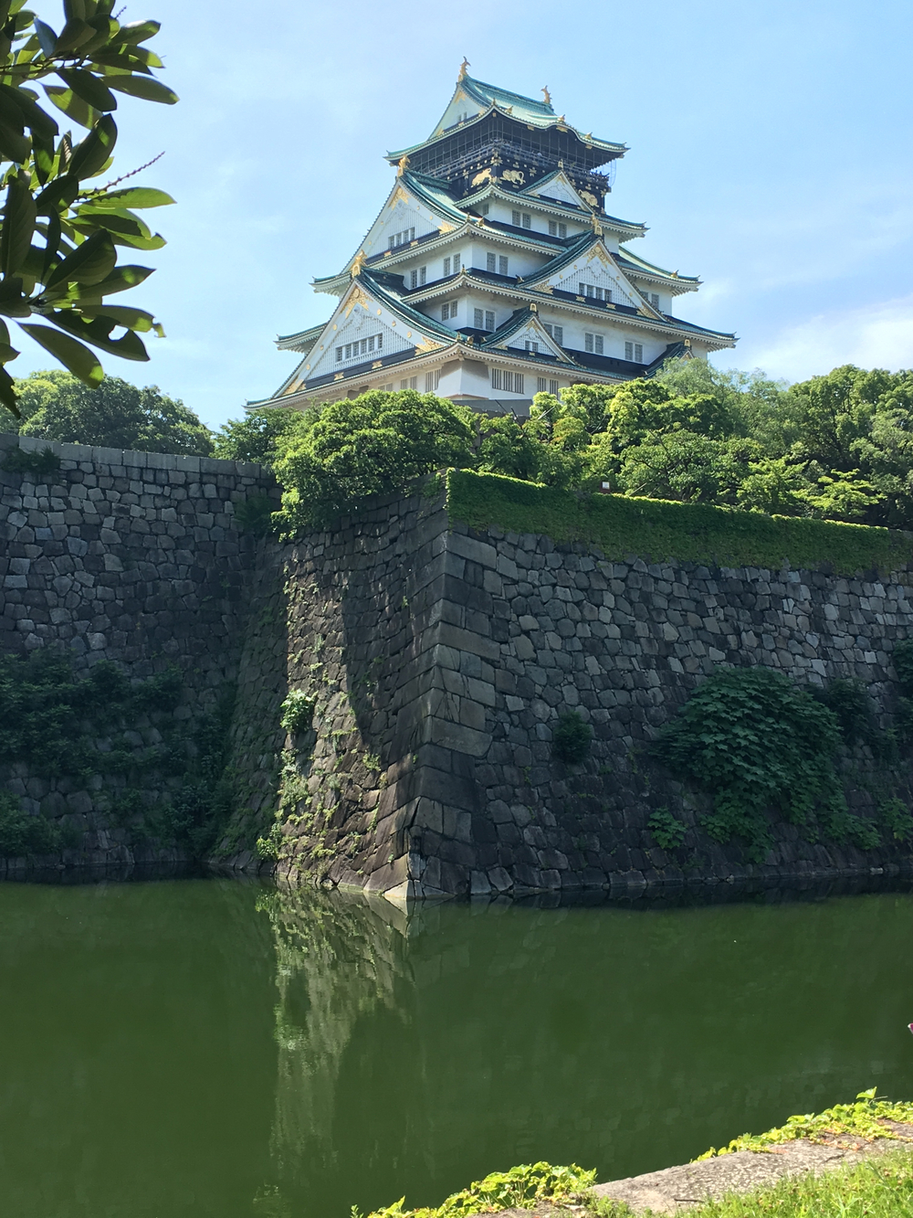 淀川、中央公会堂、大阪城を巡る周遊コースの写真7