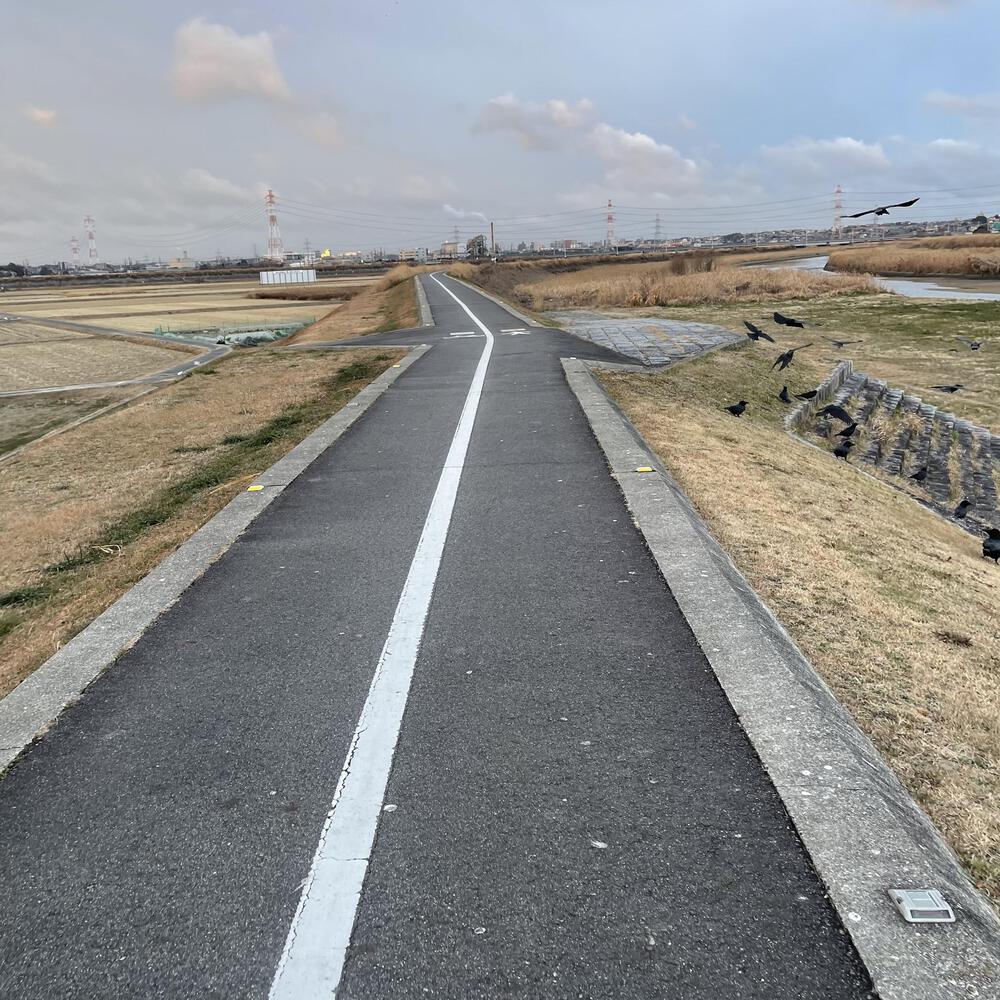 ひたすら土手を走る逢妻川サイクリングロード3kmの写真4