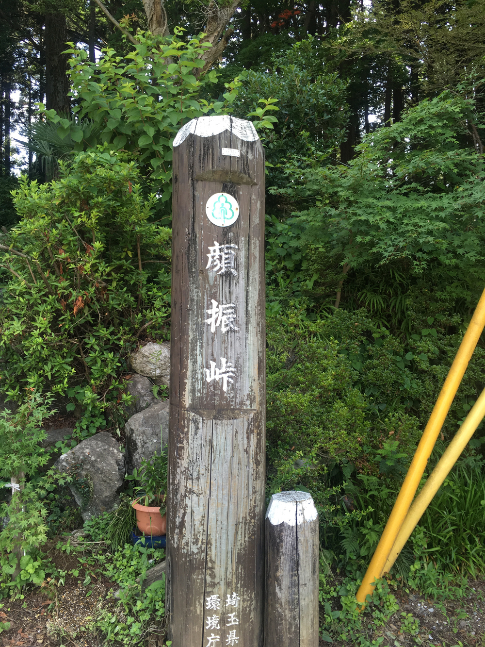 武蔵横手駅から秩父まで林道ランの写真3