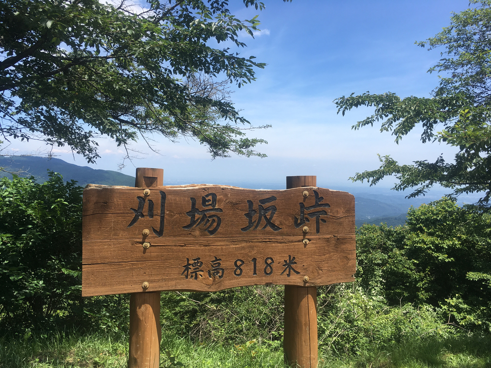 武蔵横手駅から秩父まで林道ランの写真5