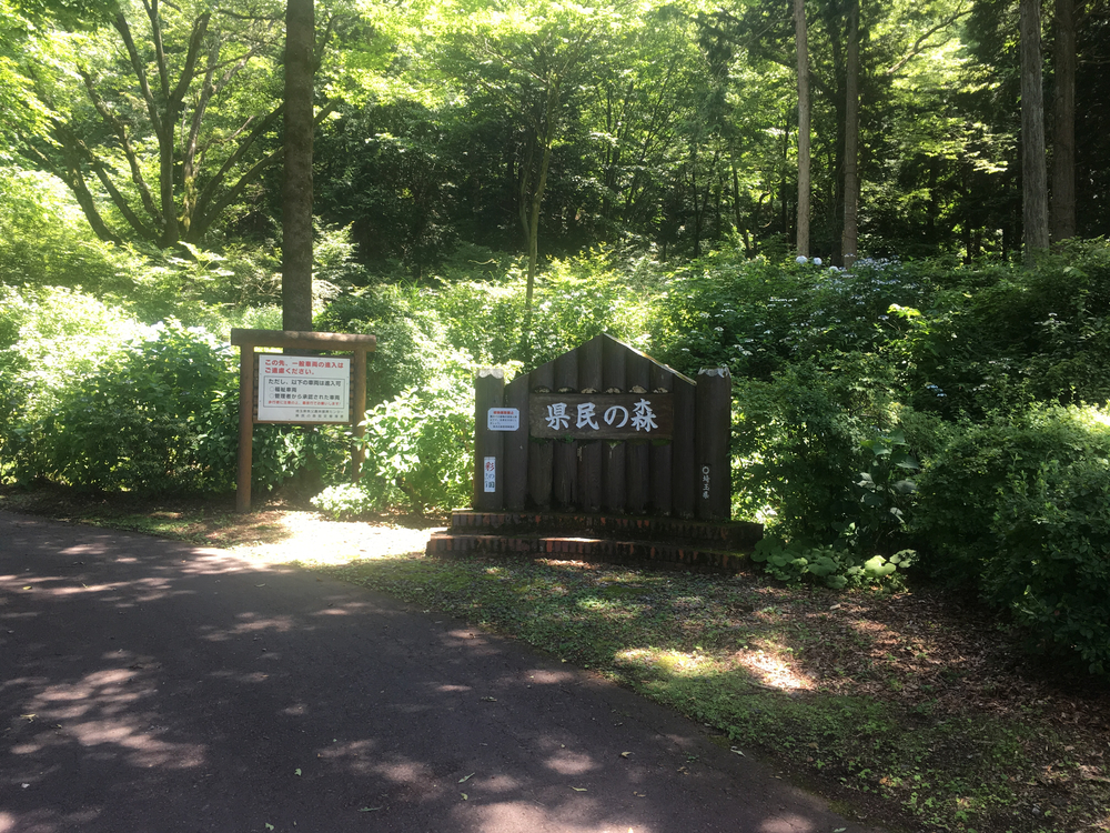 武蔵横手駅から秩父まで林道ランの写真6