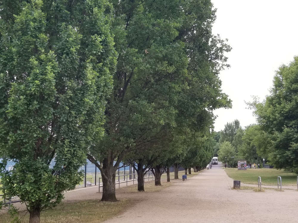 素顔のベルリン：ローカルランナーとすれ違うラントヴェーア運河沿いの写真3