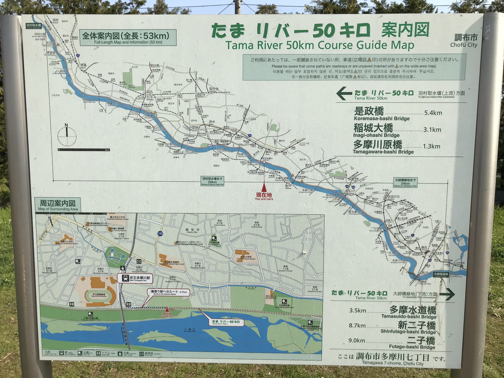 多摩川 調布〜狛江〜二子玉川 周回コースの写真4