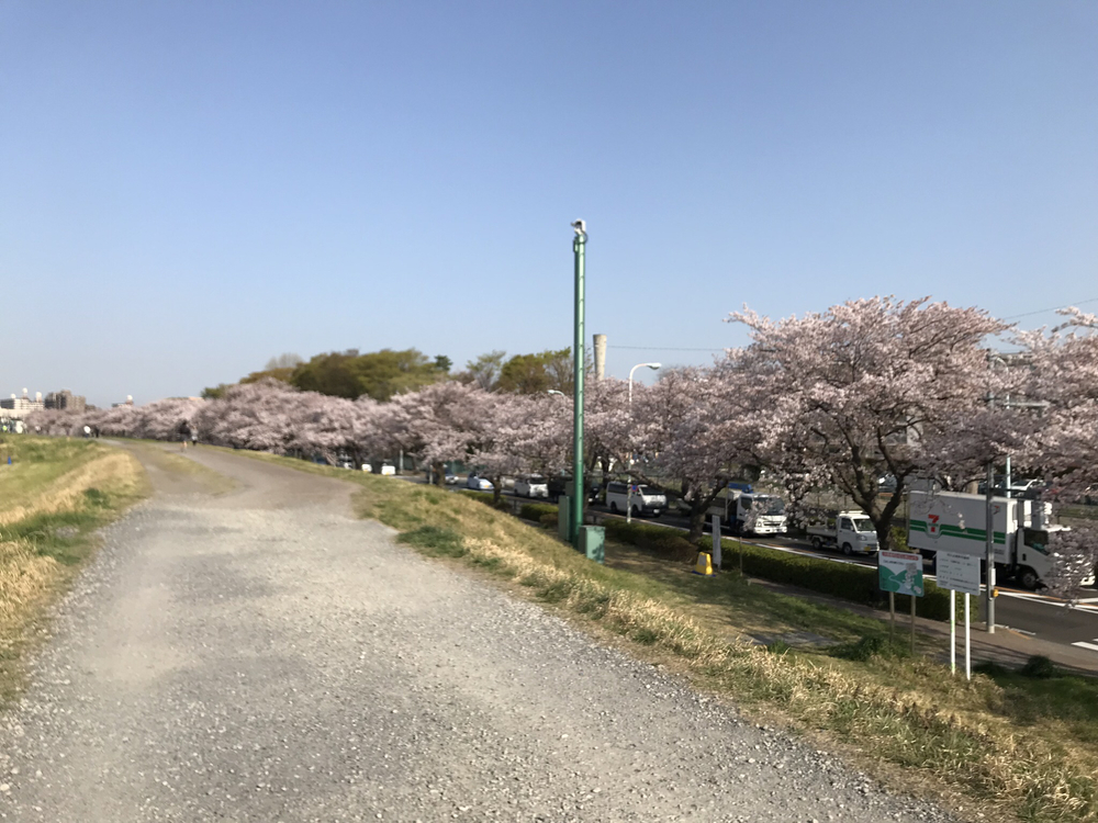多摩川 調布〜狛江〜二子玉川 周回コースの写真5