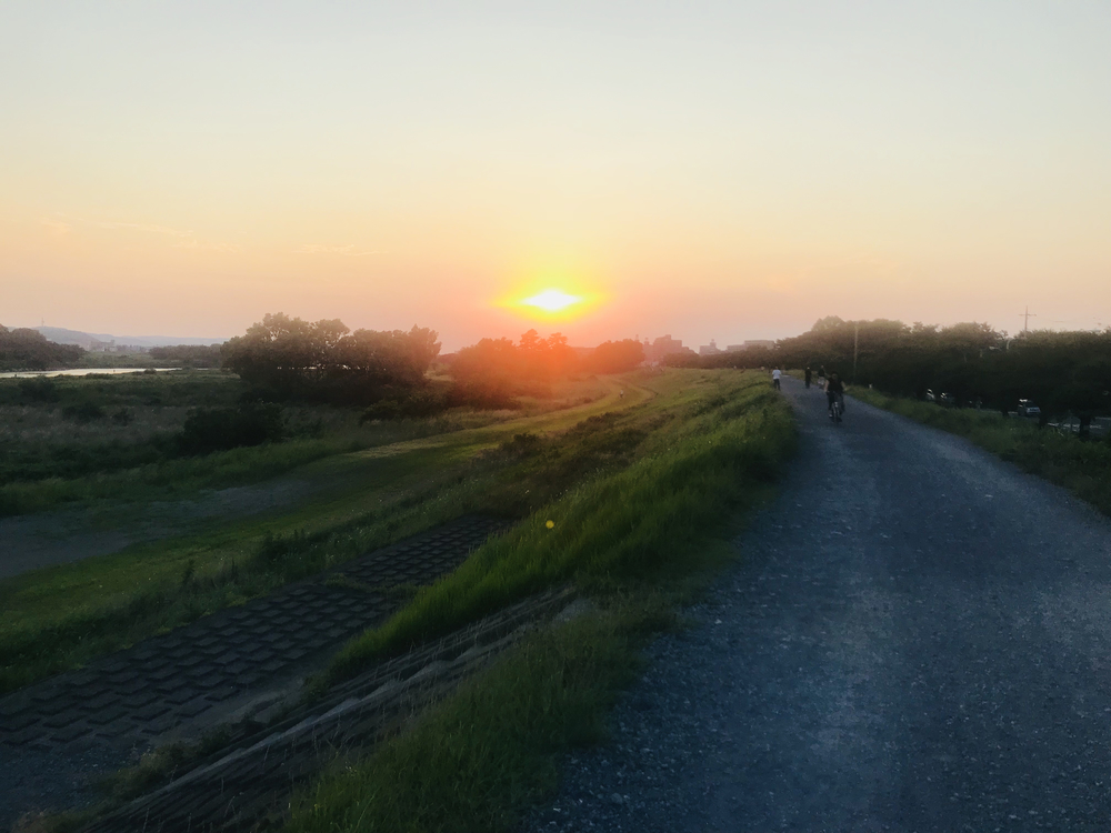 多摩川 調布〜狛江〜二子玉川 周回コースの写真6