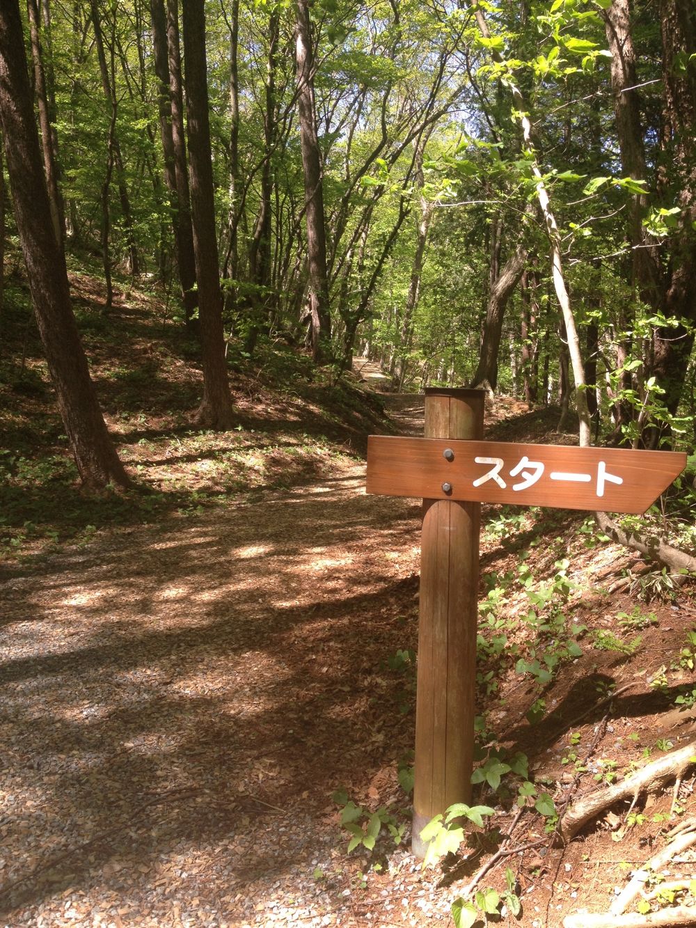 甲子高原　きびたきコースの写真3