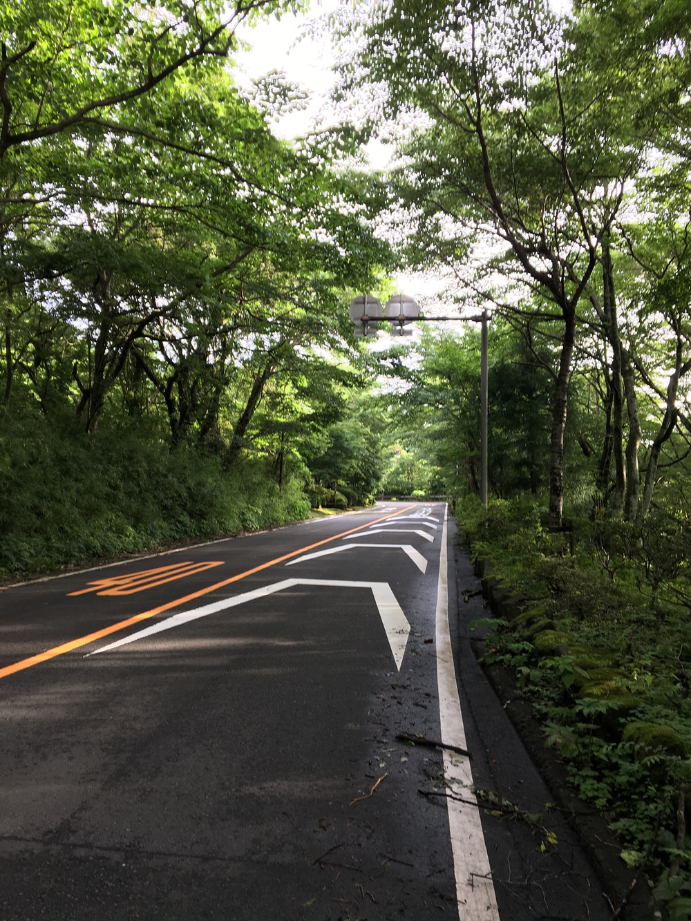箱根５区の佳境、小涌園跡から芦ノ湯への写真3