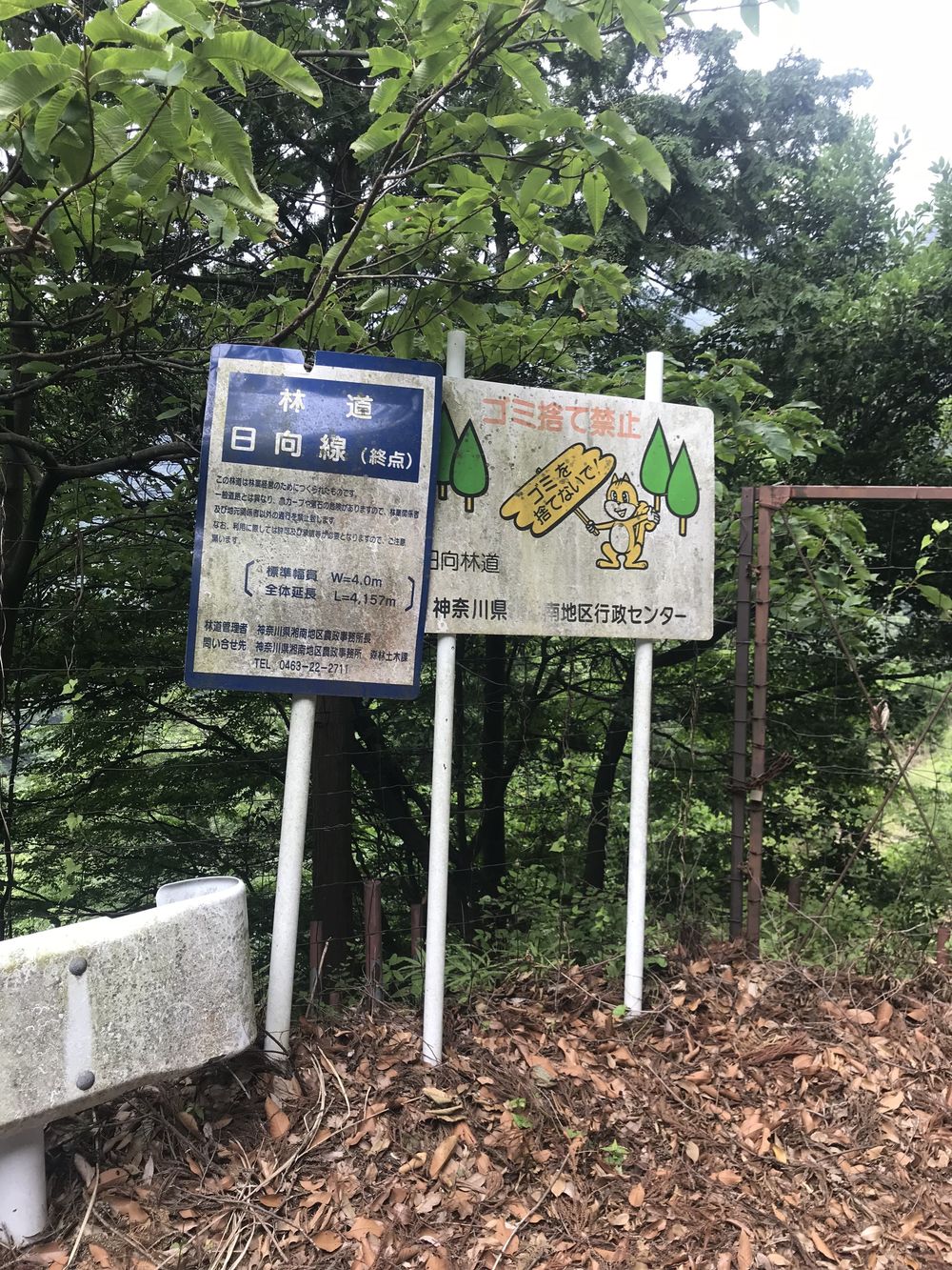七沢森林公園〜日向林道 峠ランの写真3