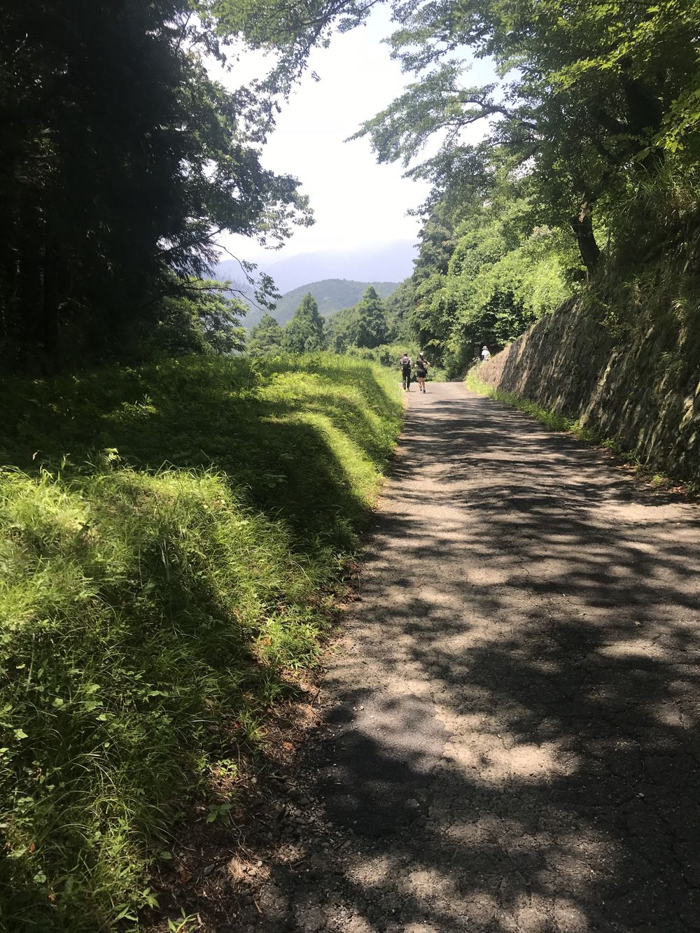 七沢森林公園〜日向林道 峠ランの写真4