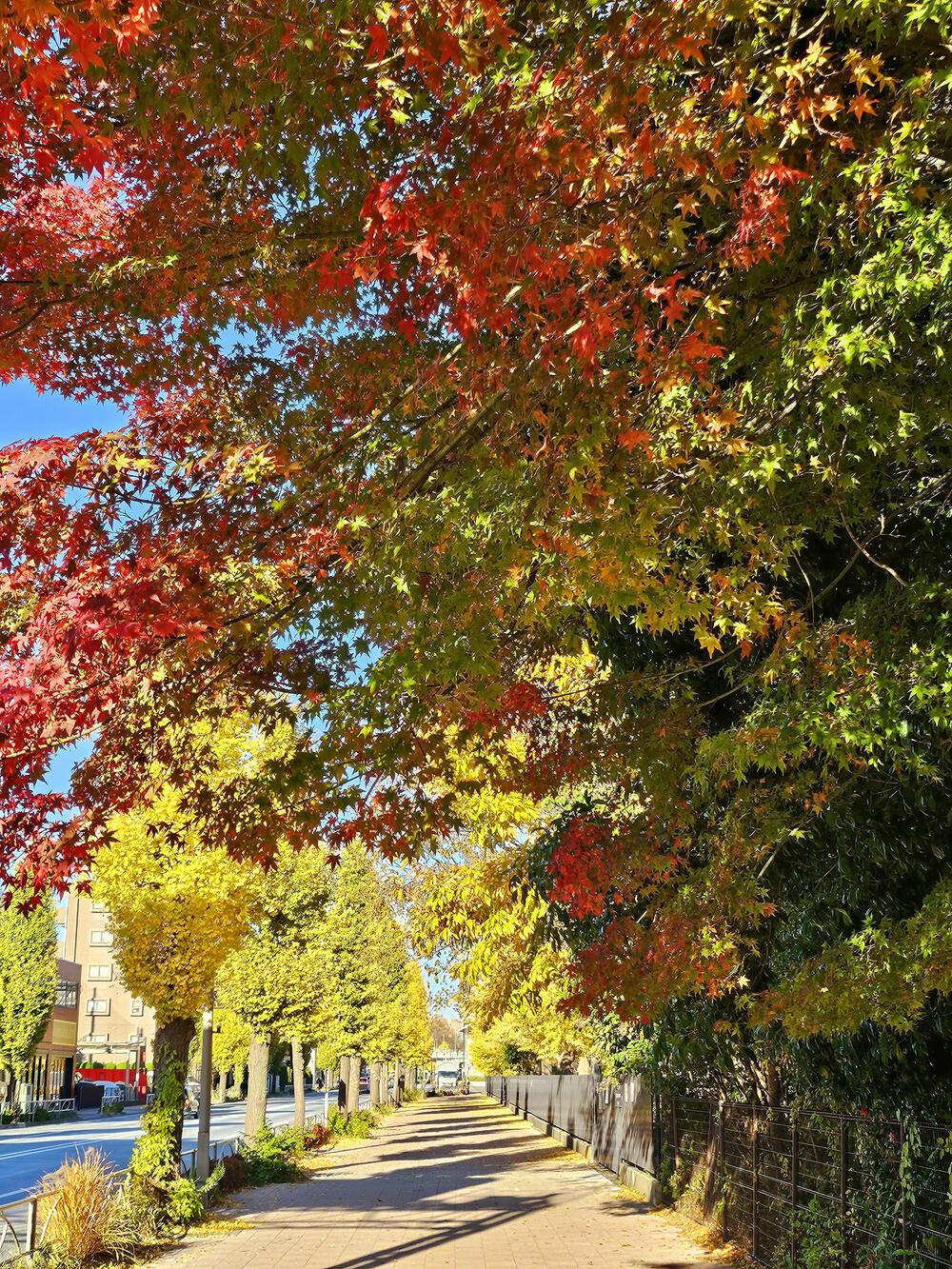 いつか聖地に！味スタ〜調布飛行場の写真4
