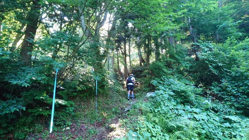 山あり！滝あり！ジャングルあり！〜野沢温泉トレイル駅伝1stセクション〜の写真6