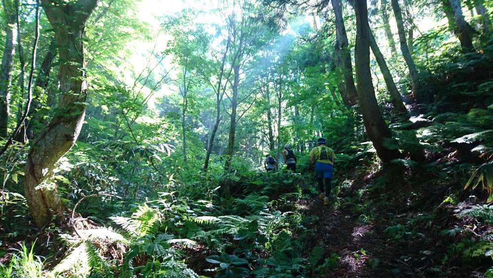 山あり！滝あり！ジャングルあり！〜野沢温泉トレイル駅伝1stセクション〜の写真7