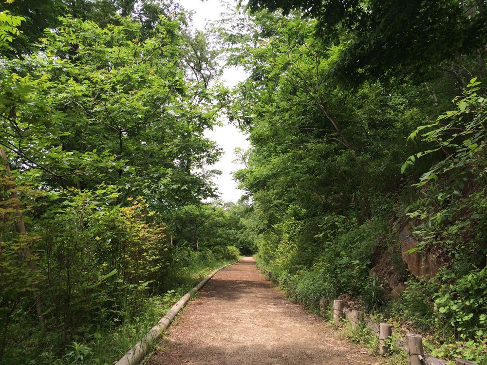 「トレラン・クロカン、あなたはどっち？バリエーション豊富な甲府盆地一望コース」の写真3
