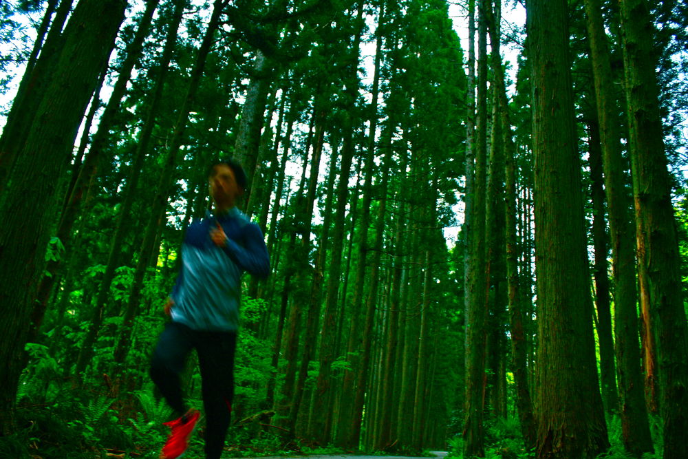 山形・山寺から面白山へ向かう道の写真4