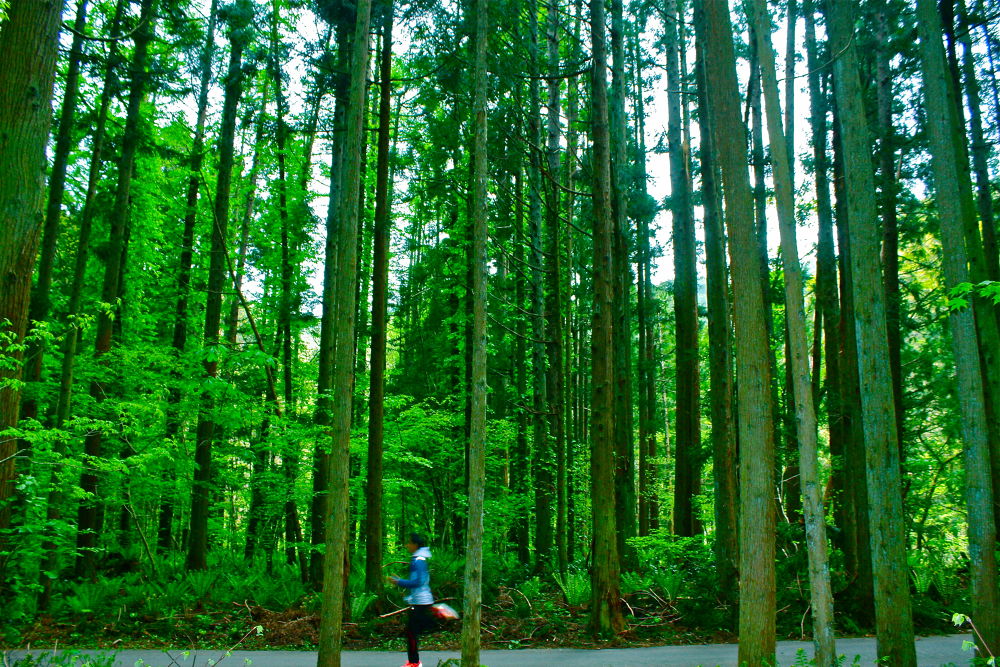 山形・山寺から面白山へ向かう道の写真5