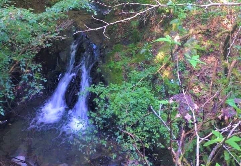 南高尾Coffee Runの写真4