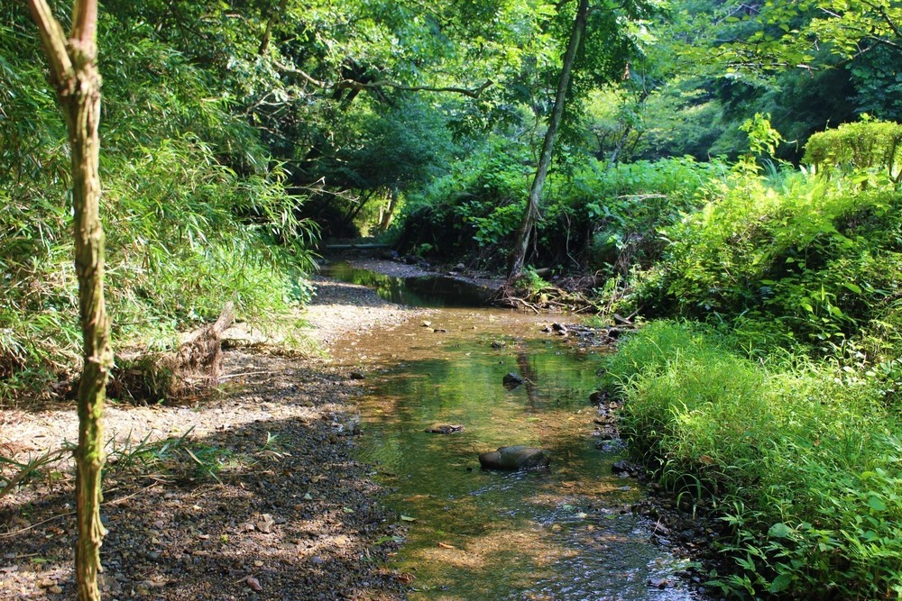 南高尾Coffee Runの写真9