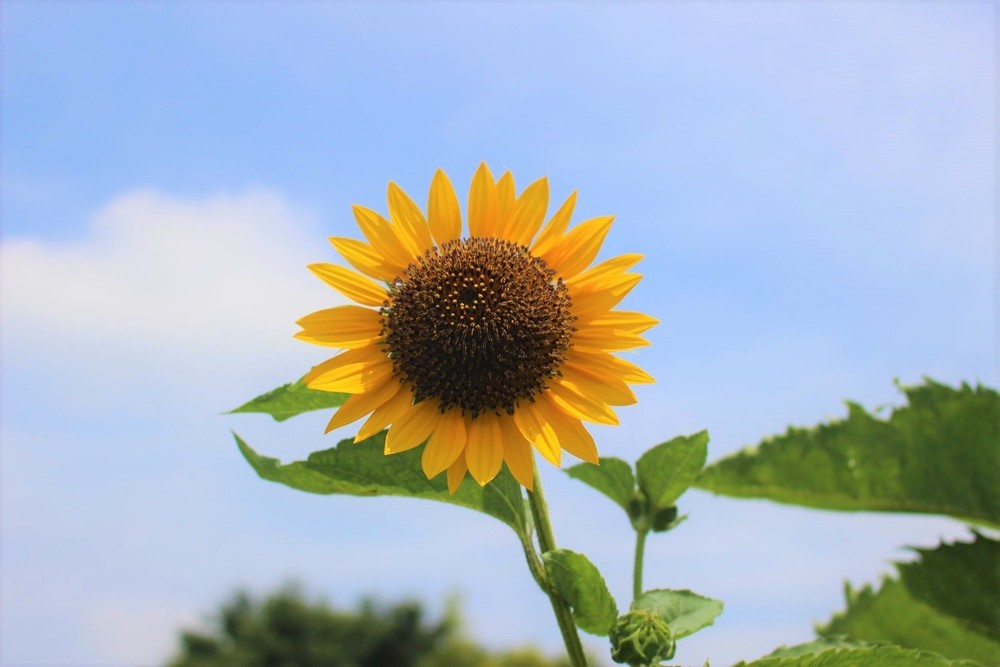 南高尾Coffee Runの写真10