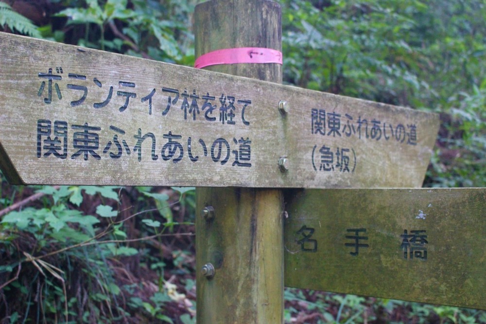 南高尾Coffee Runの写真11