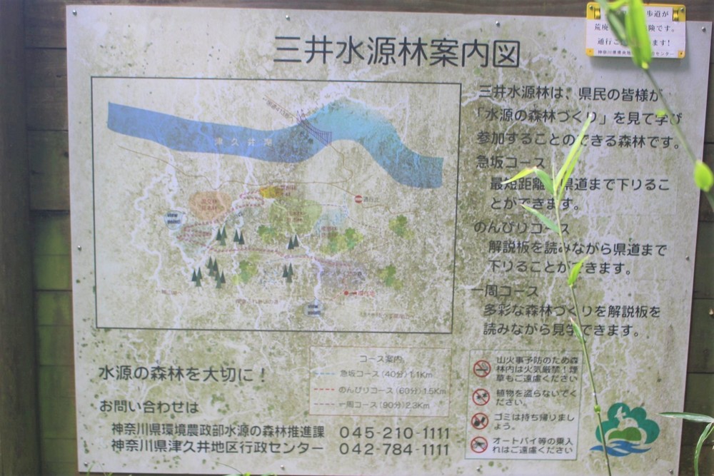 南高尾Coffee Runの写真12