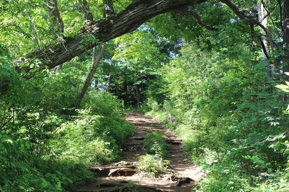 南高尾Coffee Runの写真13