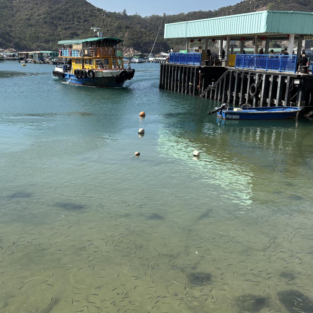 南丫島 榕樹灣〜索罟灣の写真9